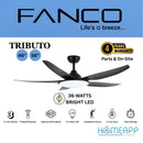 +installation FANCO TRIBUTO